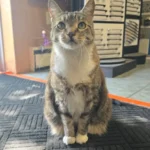 J K Counter Tops Ltd photo 6